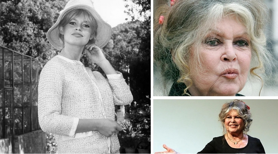 bricit-bardo-sen-tropede-deniz-kenarindaki-baginda-defn-olunacaq