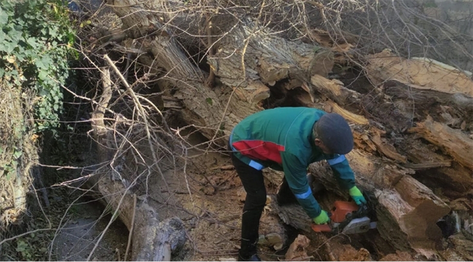 ashan-agacin-fesadlari-aradan-qaldirilib-bakida