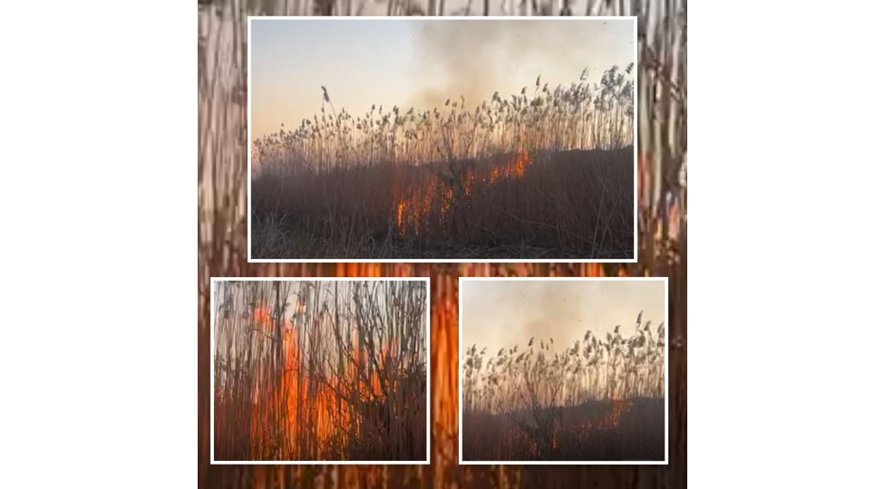 cebrayilda-yangin-toreden-shexs-mesuliyyete-celb-olunub