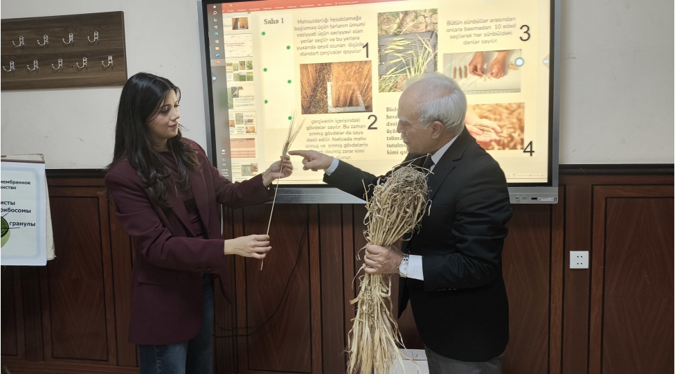 azerbaycanda-ilk-defe-olaraq-baki-dovlet-universitetinde-aqrar-sigorta-fenninin-tedrisi-bashlanib