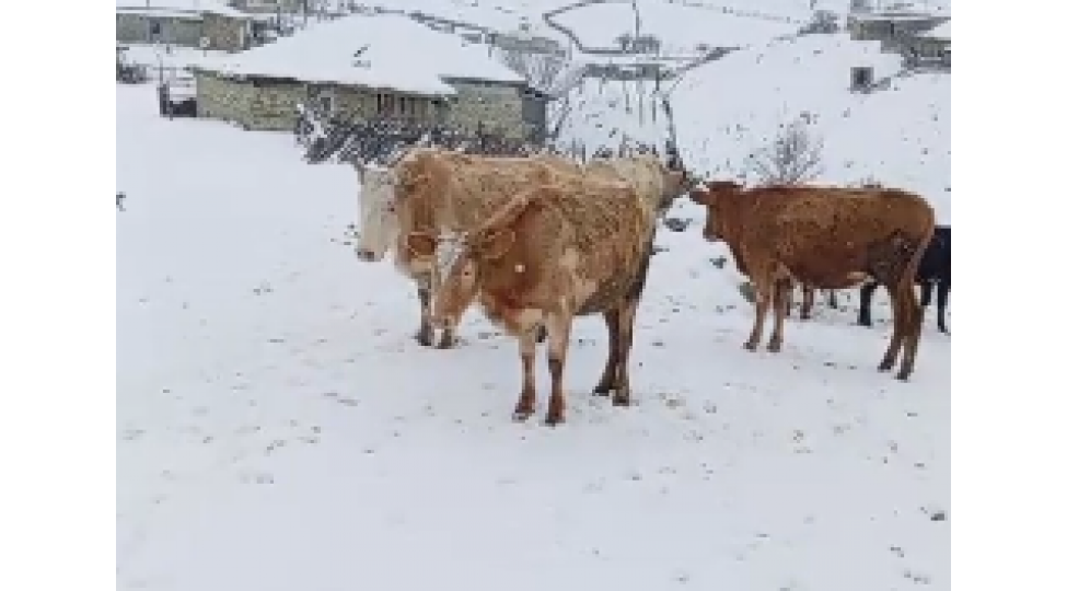 qubanin-rayon-merkezinden-80-kilometr-uzaqliqda-kend-menzeresi-video