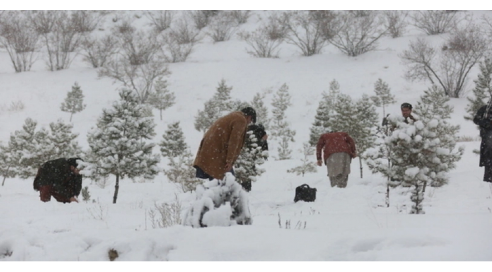 guclu-qar-yagishi-ve-tehlukeli-buzlanma-gozlenilir