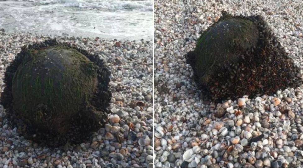 ruminiyada-deniz-minasi-ashkarlanib