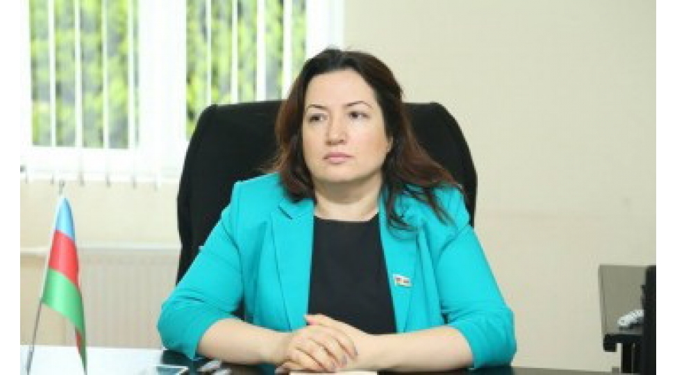 azerbaycan-gencliyi-olkemizin-daha-da-inkishafina-ve-guclenmesine-oz-tohfelerini-verir