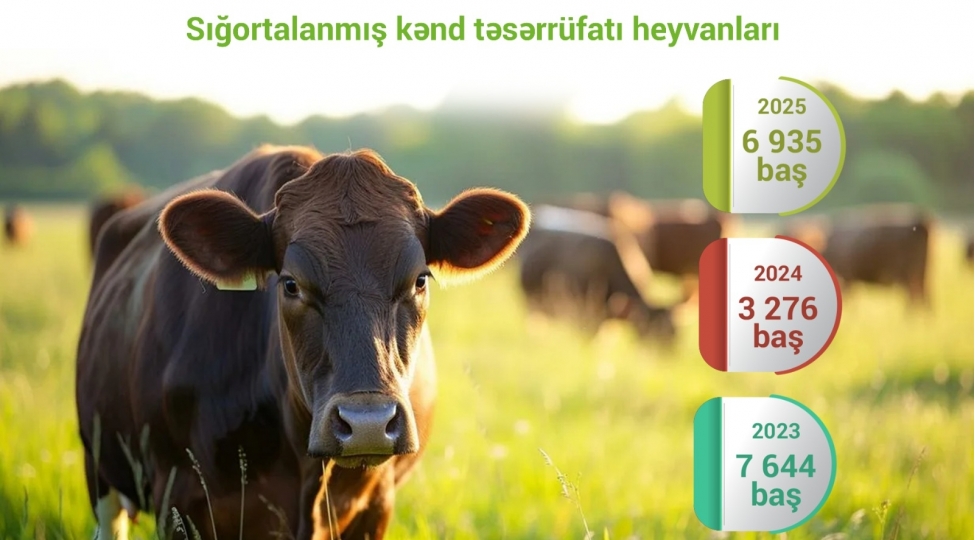 aqrar-sigortaya-maraq-artir-heyvan-sigortasi-2-defeden-chox-yukselib