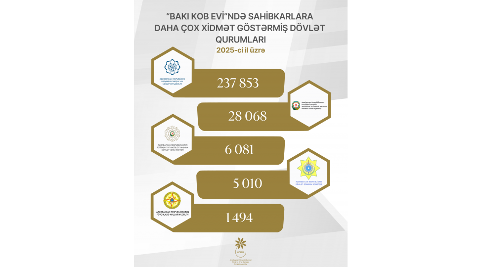 sahibkarlar-2025-ci-ilde-daha-chox-hansi-xidmetlerden-istifade-edibler