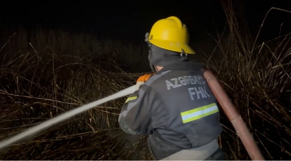 ucarda-qebiristanliqda-yangin-bash-verib