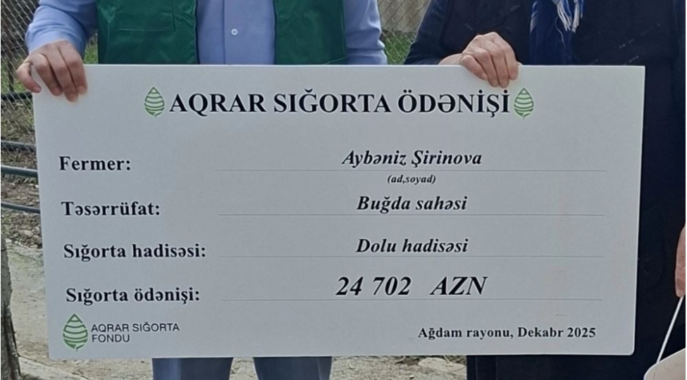 2034-manata-ekinini-sigortaladi-24-702-manat-odenish-aldi