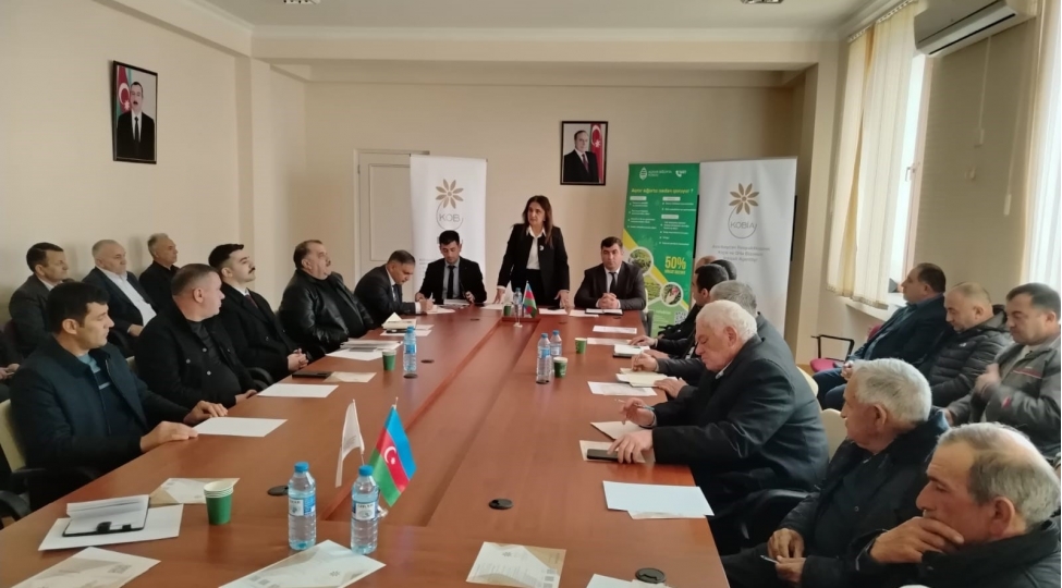 1-hektar-pambiq-25-manata-1-qoyun-cemi-7-manata-sigortalanir-zerdabda-fermerlerle-gorush