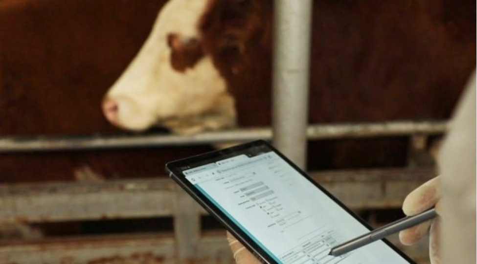 sherqi-zengezur-ve-qarabag-iqtisadi-rayonlarinda-heyvan-xesteliklerinden-azad-zonalarin-serhedleri-mueyyenleshdirilib