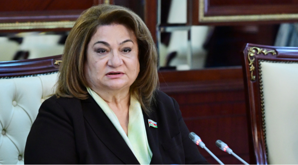 gender-beraberliyinin-temin-edilmesine-nezaret-mexanizmi-yoxdur-komite-sedri