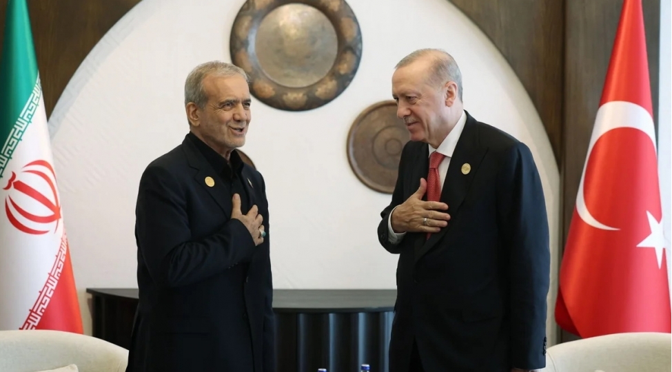 pezeshkianerdogana-teshekkur-edib