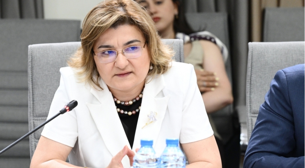 bele-platformalarda-ushaqlarin-intihara-terrorizme-kiberbullinqe-meruzqalma-ehtimali-daha-choxdur-aynure-zeynalova