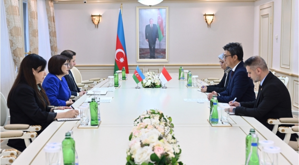 sahibe-qafarova-indoneziyanin-azerbaycandaki-yeni-sefiri-ile-gorushub
