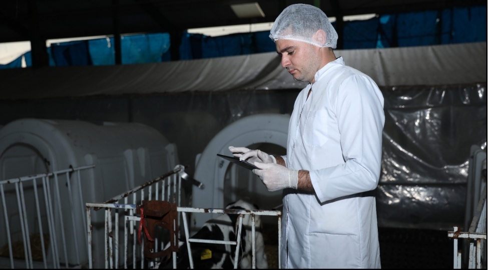 aqta-hara-baxir-layihesinin-novbeti-buraxilishi-heyvanlarin-identifikasiyasina-hesr-olunub