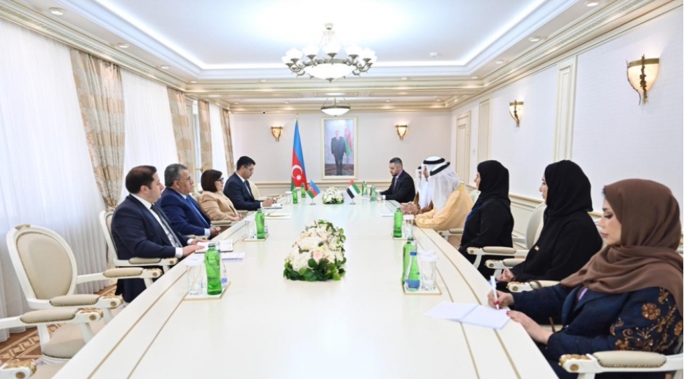 milli-meclisde-bee-nin-federal-milli-shurasi-sedrinin-birinci-muavini-ile-gorush-olub