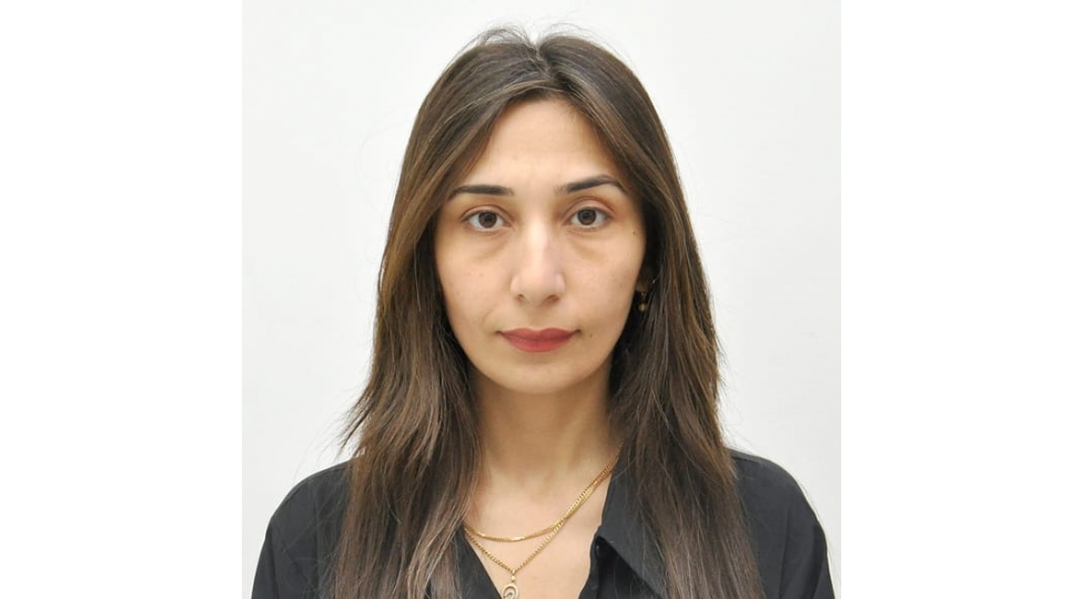 dilin-serhedi-dovletin-serhedidir-qloballashma-dovrunde-azerbaycan-dilinin-milli-tehlukesizlik-konsepti