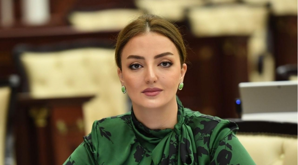 naxchivan-regional-ve-beynelxalq-neqliyyat-qovshagina-chevrilir