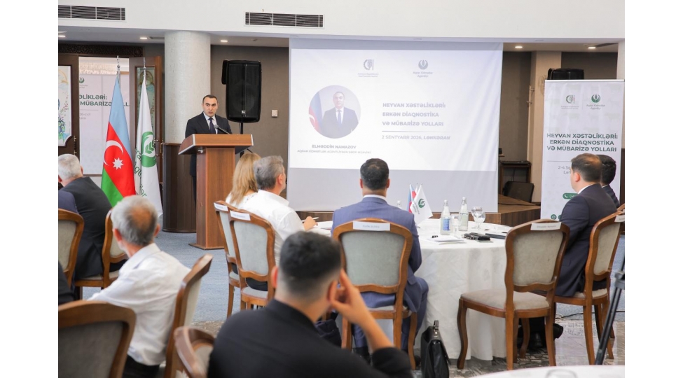 dovlet-proqraminin-prioritet-istiqametleri-uzre-beynelxalq-tecrubeye-esaslanan-telim-kechirilir