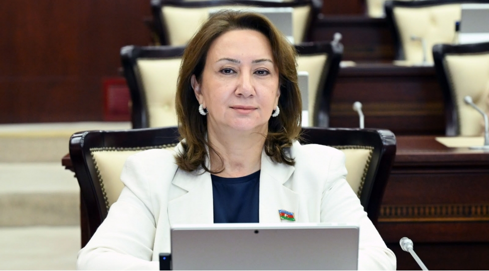 azerbaycanin-suverenliyine-hormet-beynelxalq-munasibetlerin-temel-prinsipidir