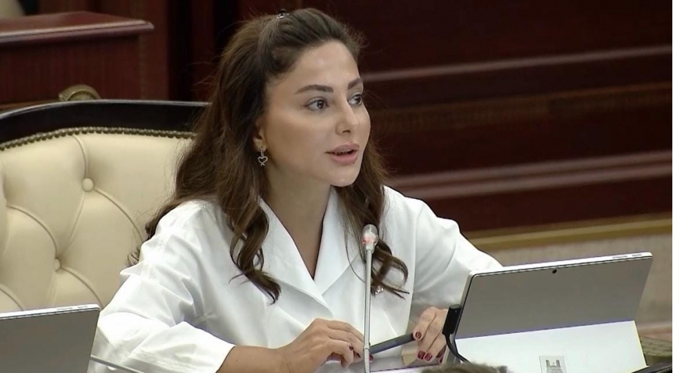 azerbaycan-dovletchiliyinin-donush-noqtesi