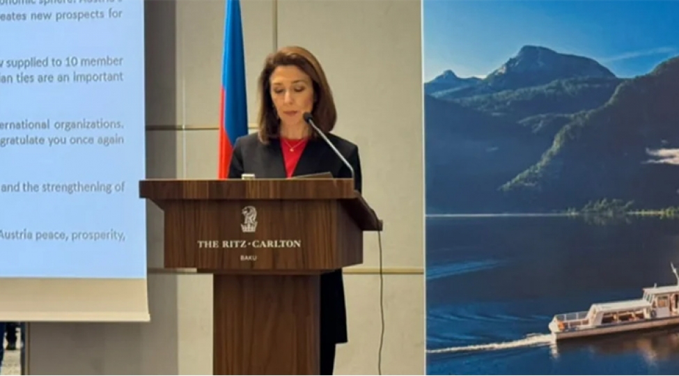 azerbaycan-ve-avstriya-xin-leri-arasinda-siyasi-meslehetleshmeler-noyabrda-bakida-kechirilecek