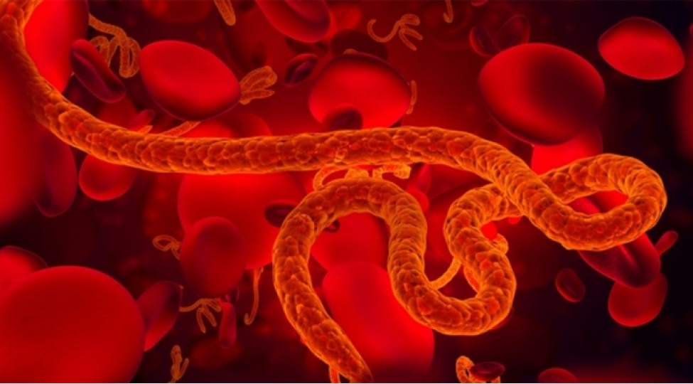 hindistanda-dord-nefer-ebola-virusuna-yoluxma-shubhesi-ile-tecrid-olunub