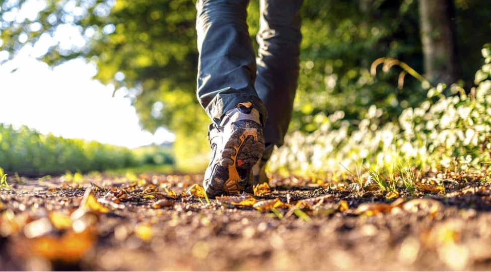gunde-bir-saat-telefonsuz-gezinti-neleri-deyishdire-biler