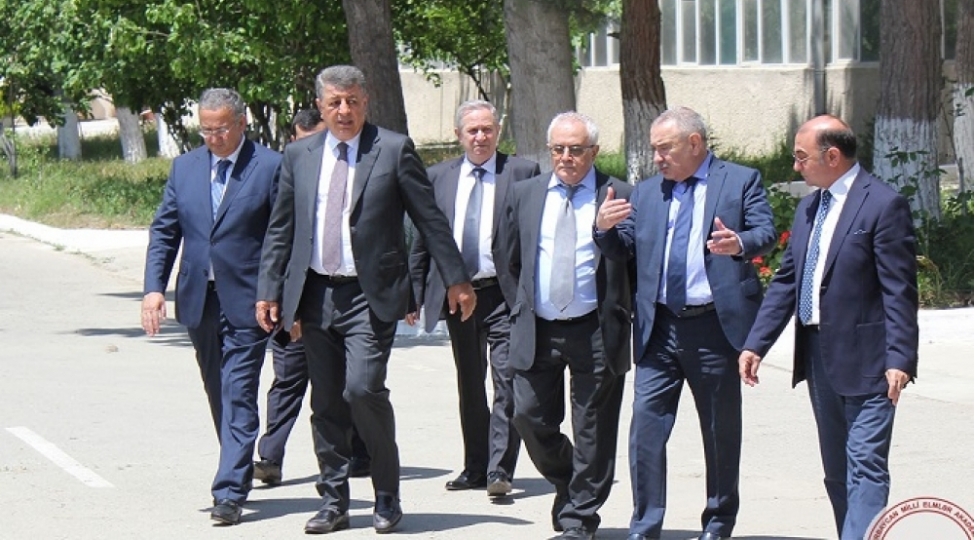 amea-yt-parkin-mehsullari-ile-tanishliq