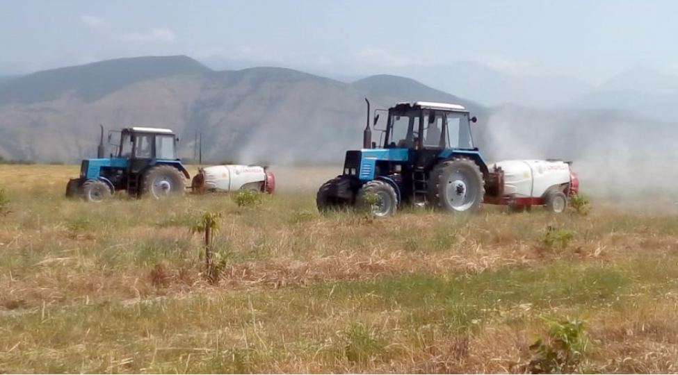 samuxda-italiya-cheyirtkesi-ashkarlanib