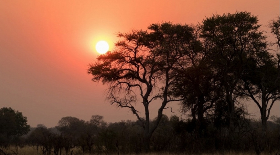tehlukesiz-istirahet-ved-eden-afrika-olkeleri