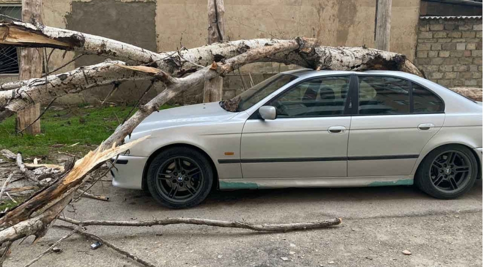 bakida-xestexananin-heyetinde-avtomobilin-uzerine-agac-dushdu-foto