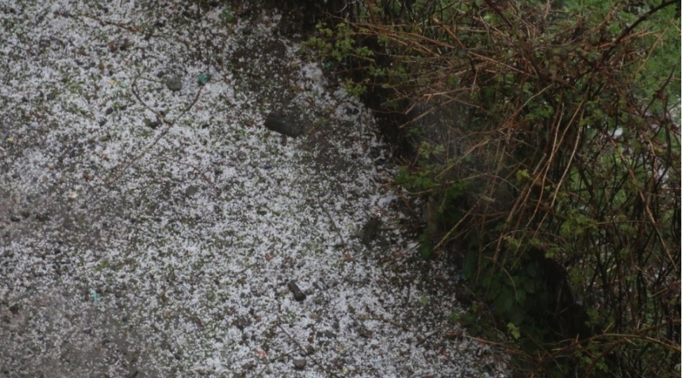 dashkesende-meyve-agaclarini-dolu-vurdu-video-foto