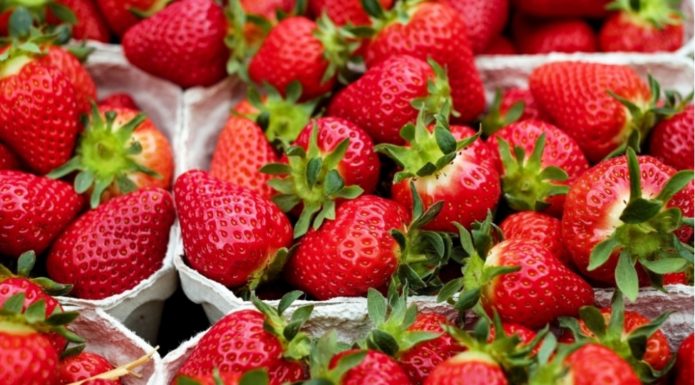 aqta-qida-zeherlenmelerine-dair-yeni-videocharx-hazirlayib-video