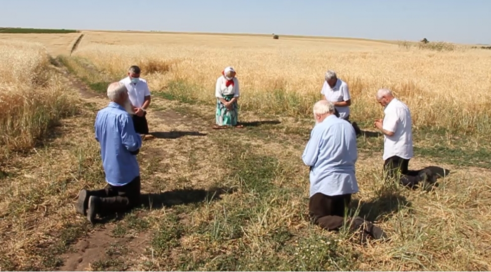 azerbaycanin-yegane-kolxozunda-maraqli-enene-fotovideo