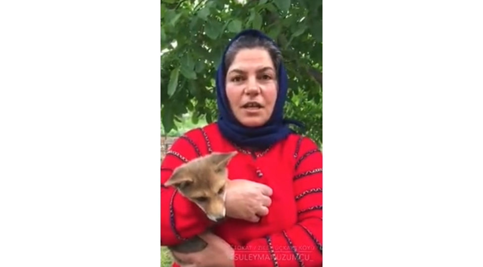 heyvanlar-dayaxshiligiunutmur-video