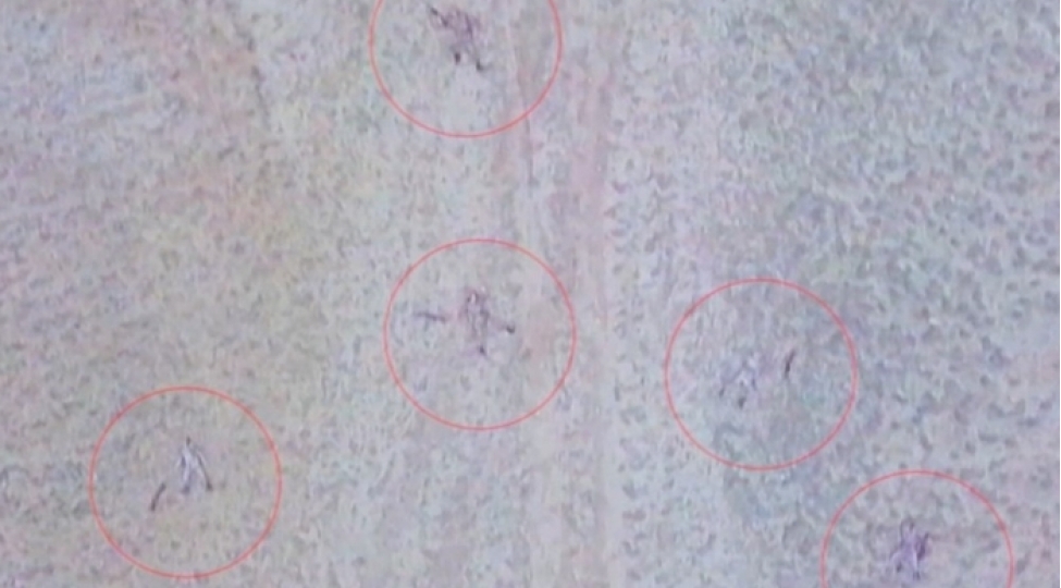 talish-kendi-etrafindaki-yukseklikler-dushmenden-temizlendi-video