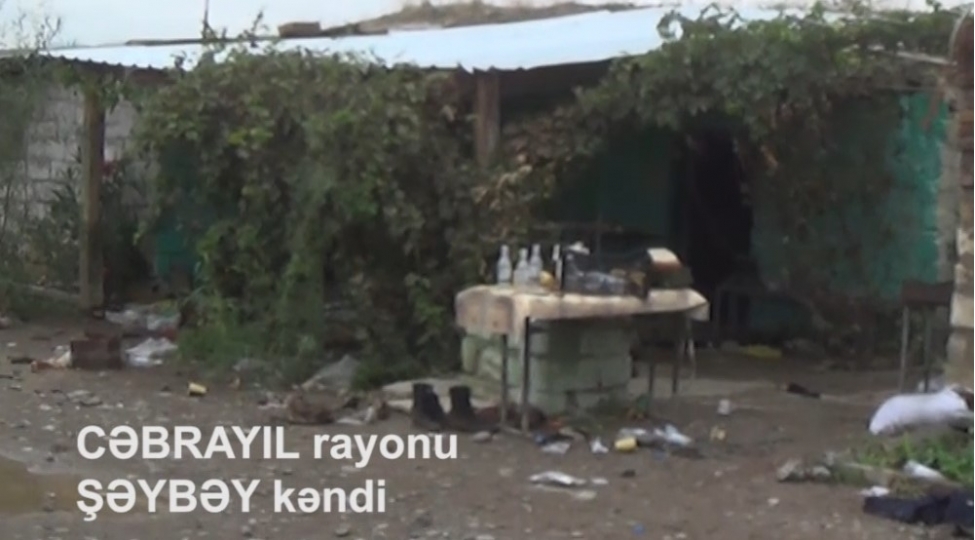 ishgaldan-azad-olunan-sheybey-kendinin-goruntuleri-video