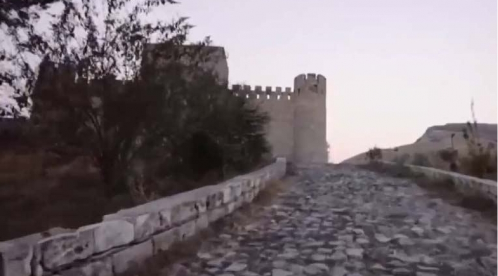 alim-qasimov-neveleri-ile-birlikde-dovlet-himnini-oxudu-video