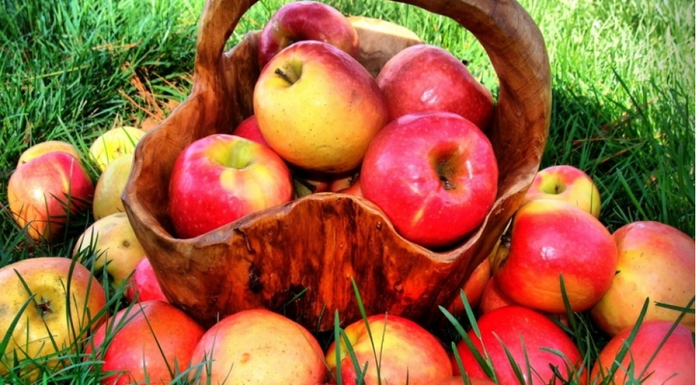 kimlere-alma-yemek-olmaz