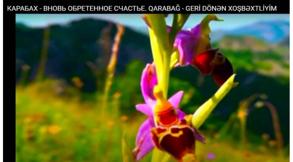 qazaxistanda-qarabag-geri-donen-xoshbextliyim-adli-senedli-film-chekilib
