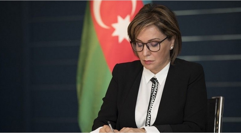 metan-rehber-prinsipleri-beynelxalq-teshebbusunun-rehber-heyetinin-illik-hesabat-gorushu-kechirilib