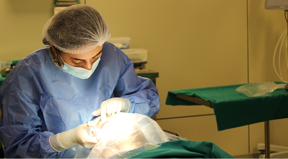 hazirda-neche-qazi-mualice-alir