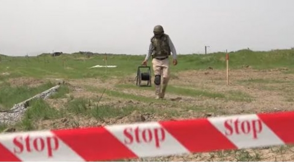 sehvi-heyati-bahasina-basha-gelen-qehremanlar-video