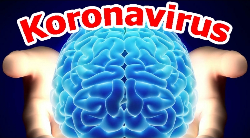 alimden-koronavirusla-bagli-shok-proqnoz