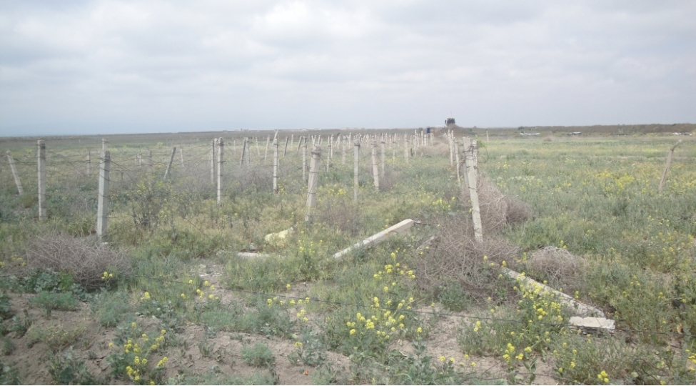 azerbaycan-esgerinin-qarshiisini-hech-bir-sedd-kese-bilmezdi