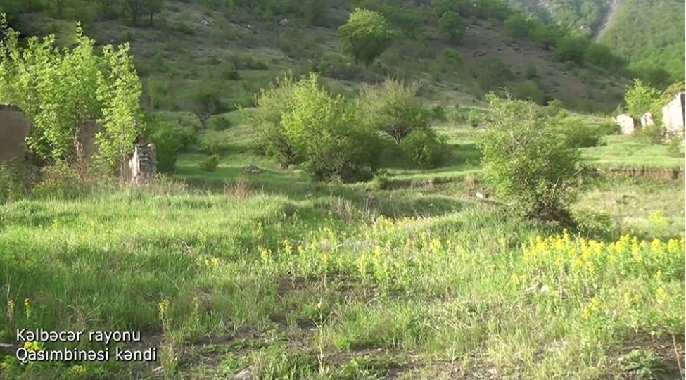 mn-qasimbinesinden-videogoruntuler-yayib