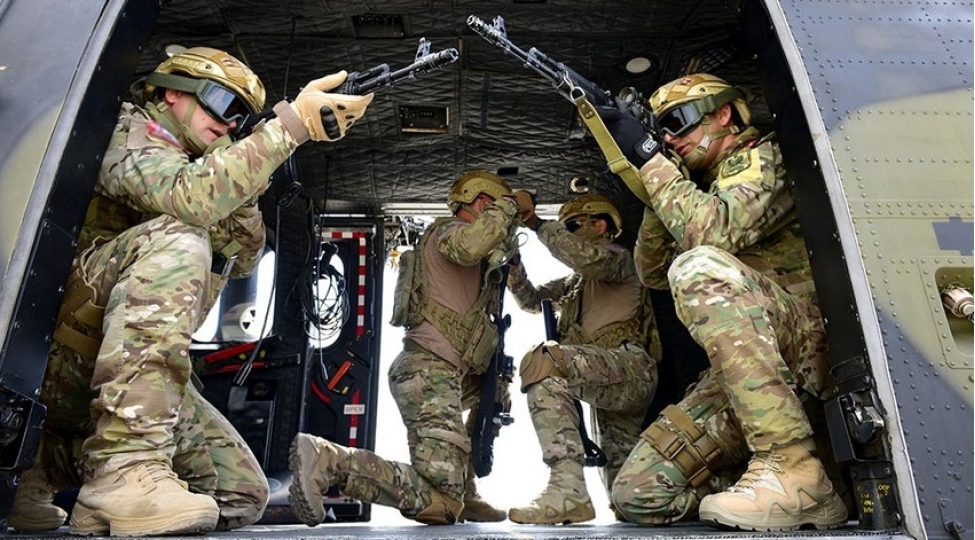 herbchilerimiz-turkiyede-telimlerde-foto