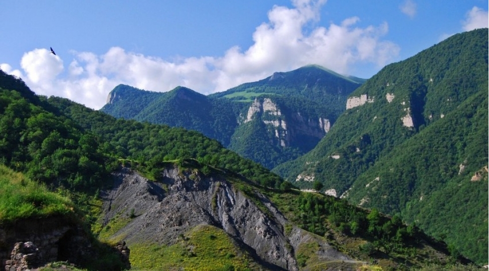 texribat-toreden-ermenistan-herbchisi-yaralanib