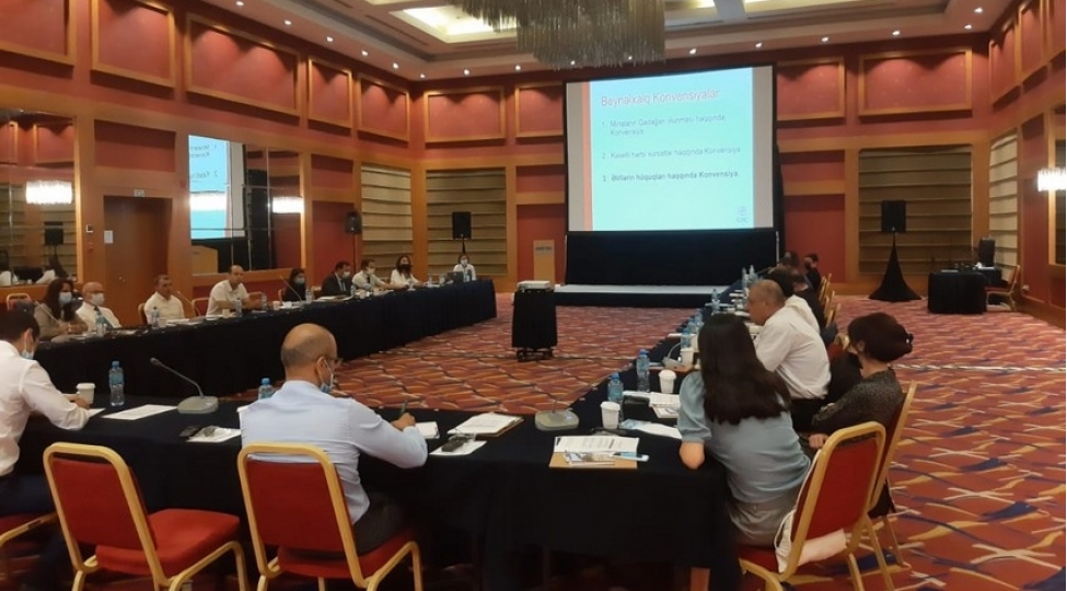 anama-mina-tehlukesi-ile-bagli-chagirish-edib